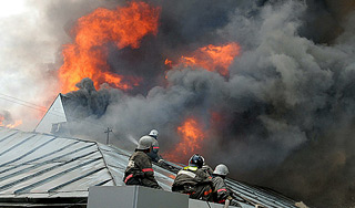 В "новой" Москве сгорели 3 рабочих и собака В "новой" Москве сгорели 3 рабочих и собака
