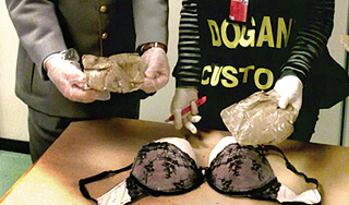 Женщину арестовали за кокаин в лифчике Женщину арестовали за кокаин в лифчике