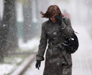 В Брянской области ожидаются метель и гололедица