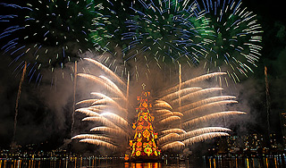 В Бразилии установили самую высокую елку В Бразилии установили самую высокую елку