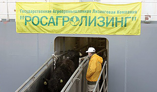 Задержан экс-руководитель "Росагролизинга" Задержан экс-руководитель "Росагролизинга"