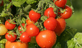 ������� ����� ������������� ��� �����