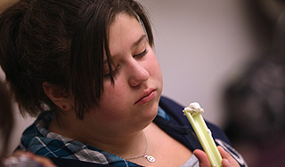 Более четверти россиян страдают ожирением Более четверти россиян страдают ожирением