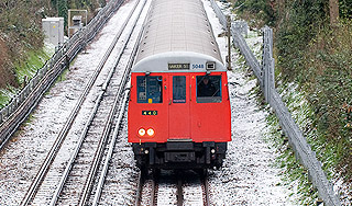 Студентка 2 км бежала за диссертацией Студентка 2 км бежала за диссертацией