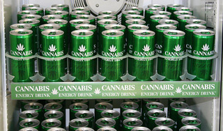 Энергетик из конопли хотят завезти в Россию Энергетик из конопли хотят завезти в Россию