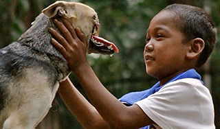 Собака-герой без челюсти победила рак Собака-герой без челюсти победила рак