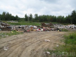 За год в Брянской области ликвидировали 50 свалок