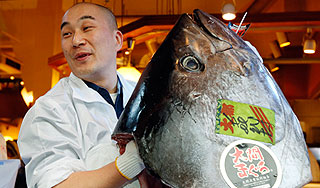 Тунец-гигант установил рекорд на аукционе Тунец-гигант установил рекорд на аукционе