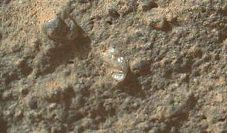 Curiosity снял "марсианский цветок" Curiosity снял "марсианский цветок"