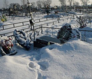 В Навле псих разгромил местное кладбище