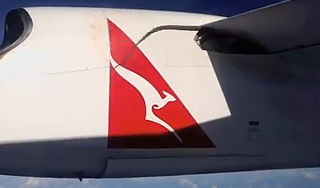 Питон погиб в полете на крыле самолета Питон погиб в полете на крыле самолета