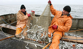 В России появится новое министерство В России появится новое министерство