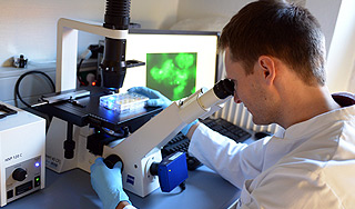 Ученые объяснили появление жизни на Земле Ученые объяснили появление жизни на Земле