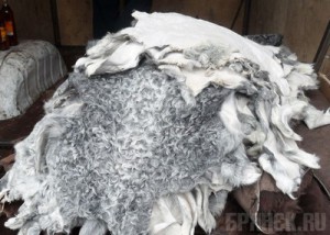 Овечьи шкуры и коньяк задержали в «Новых Юрковичах»