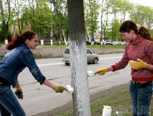 За год временно трудоустроили лишь 5,4 тысячи подростков