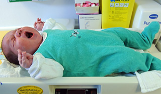 В Нижнем Тагиле родился мальчик Тагил В Нижнем Тагиле родился мальчик Тагил