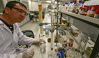 Ученые научились выращивать почки Ученые научились выращивать почки