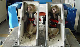Иранская обезьяна вернулась из космоса Иранская обезьяна вернулась из космоса