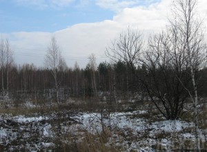 Горе-землепользователей наказали рублем