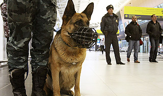 Священник пытался провезти кокаин в желудке Священник пытался провезти кокаин в желудке