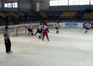 Брянские хоккеисты дважды обыграли клуб «Сокол» n4eb.net