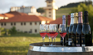 Названа дата возвращения грузинского вина Названа дата возвращения грузинского вина