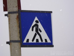 Водитель маршрутки сбил в Брянске сотрудницу полиции