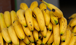 В супермаркеты завезли бананы с кокаином В супермаркеты завезли бананы с кокаином