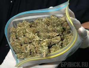 Жительницу Гордеевского района «посадили» за наркоторговлю