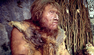 Ученые открыли новый вид человека Ученые открыли новый вид человека