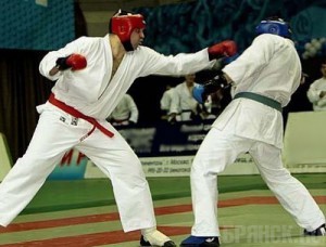 В Брянск съедутся лучшие рукопашники России