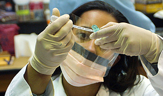 Коровья оспа поможет излечить рак печени Коровья оспа поможет излечить рак печени