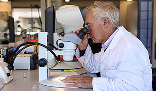 Избыток кальция грозит ранней смертью Избыток кальция грозит ранней смертью