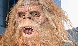 Ученых из США лишили снежного человека Ученых из США лишили снежного человека