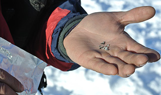 Куски метеорита продают на eBay Куски метеорита продают на eBay