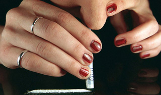 Британским студентам выдадут кокаин Британским студентам выдадут кокаин