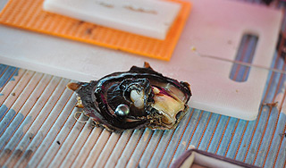 Мужчина нашел жемчуг в средстве от похмелья Мужчина нашел жемчуг в средстве от похмелья