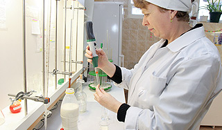 В Голландии в молоке обнаружен яд В Голландии в молоке обнаружен яд