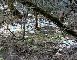 Борьбу со свалками в Брянске оценили в 20 миллионов рублей