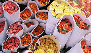 В канун 8 марта вдвое подорожали цветы В канун 8 марта вдвое подорожали цветы