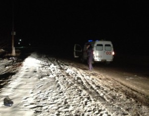 Два человека погибли и трое пострадали в ДТП под Навлей