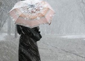 15 марта в Брянской области выпадет месячная норма осадков