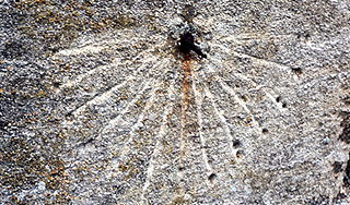 В Египте раскопали самые древние часы В Египте раскопали самые древние часы