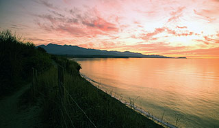 Биологи нашли жизнь под дном океана Биологи нашли жизнь под дном океана