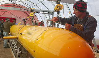 В Марианской впадине найдена жизнь В Марианской впадине найдена жизнь