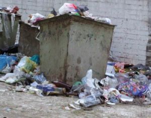 Горожанам предложили помочь в борьбе с мусором