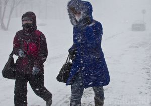 В Брянскую область на три дня вернется метель