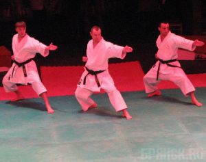 В Брянске проведут VI фестиваль боевых искусств rsbi-bryansk.ru