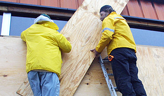 Ирландцев по ошибке заколотили в доме Ирландцев по ошибке заколотили в доме