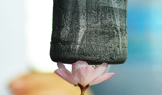 Китайцы создали самый легкий материал Китайцы создали самый легкий материал